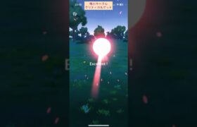 【難易度中】メッソン極小サークルクリティカルゲット【ポケモンGO】