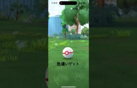 色違いゲット‼️【ポケモンGO】【カプ・レヒレ】