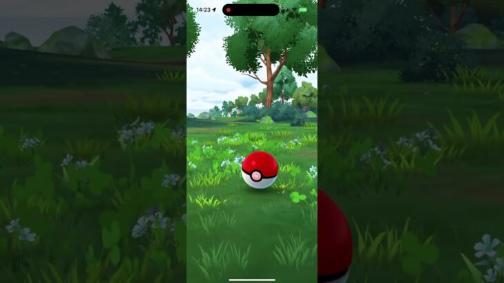 【ポケモンGO】パモ【色違い】