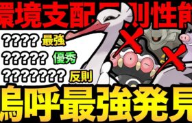 このリーグ…完全に理解した！オトシドリがぶっ刺さり！タイプも技も優秀すぎるぞ！【 ポケモンGO 】【 GOバトルリーグ 】【 GBL 】【 スーパーリミックス 】