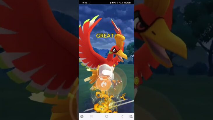 ポケモンGO 通常マスターリーグ グラードン、ホウオウ、Wキュレム