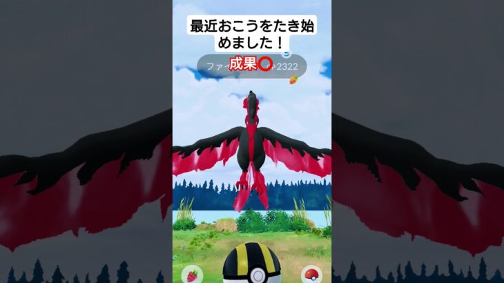 ポケモン GO ガラル三鳥！ #初心者 #ポケモンgo #ポケモン