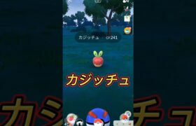 【ポケモンGO】カジッチュで大喜び！？ #ポケモン #pokemon #shorts