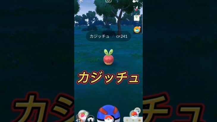 【ポケモンGO】カジッチュで大喜び！？ #ポケモン #pokemon #shorts