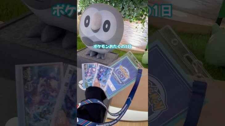 ポケモンGOの対戦強くなれないけどポケモンはたのしい #shorts #pokemon #ポケモンgo #ポケカ #オタ活