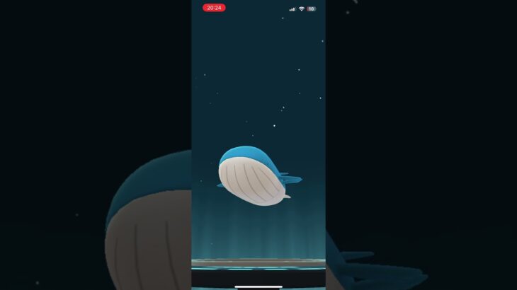 【ポケモンGO】6.11kgのホエルコ進化させてみた