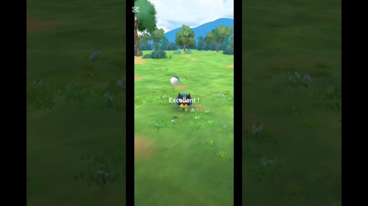 【ポケモンGO】今日のExcellent #陰キャのゲンガー #ポケモンgo