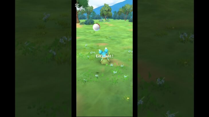 【ポケモンGO】今日のExcellent #陰キャのゲンガー #ポケモンgo