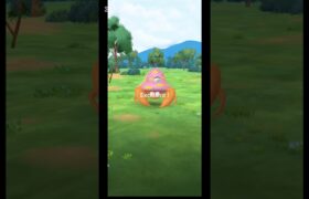【ポケモンGO】今日のExcellent #陰キャのゲンガー #ポケモンgo