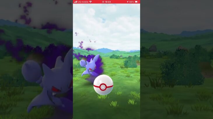 ポケモンGOで初色違いシャドウ！！！！！！♯ポケモンGO