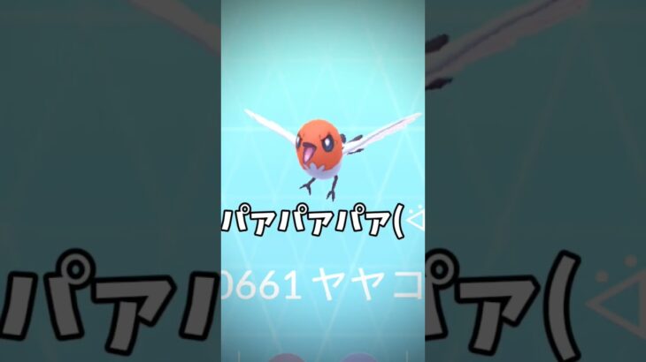 ポケモンGOGOバトル環境ポケモンパァパァパァ