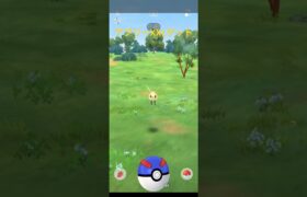 【ポケモンGO】アブリーXXLゲット XXSとXXLの出現率が高いので捕獲して行く🤩 #ポケモンgo #pokemongo #XXS #XXL