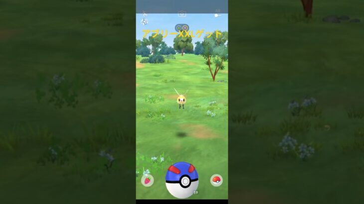 【ポケモンGO】アブリーXXLゲット XXSとXXLの出現率が高いので捕獲して行く🤩 #ポケモンgo #pokemongo #XXS #XXL