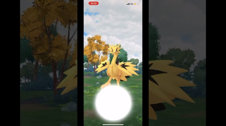 【ポケモンGO】色違いガラルサンダーモンボでゲットチャレンジ！#ポケモンgo #shorts