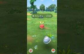 【ポケモンGO】初カジッチュはお預けですw #ポケモン #pokemon #shorts