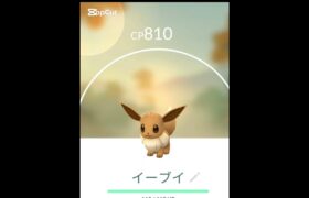わかる人には分かります＃ポケモンGo＃野獣先輩