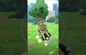 Pokémon GO – Excellent Throw of the Day – Tyrunt