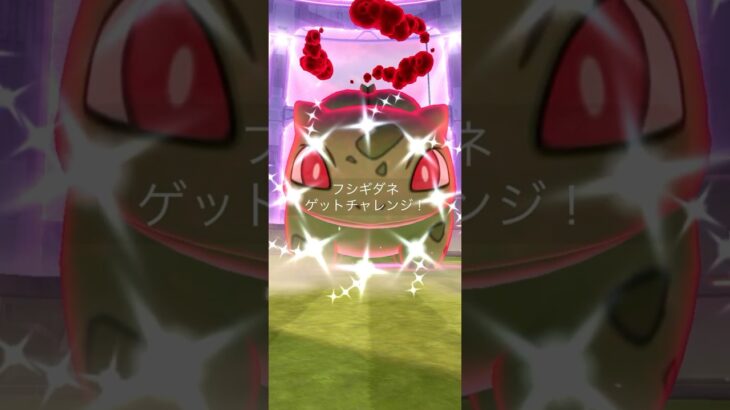 【Pokémon GO】 Shiny Bulbasaur GET ✨
