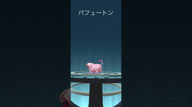 【Pokémon GO】 Shiny Lechonk → Oinkologne Evolve 🔥