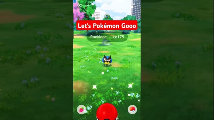 Pokemon Go Fly Away #gaming