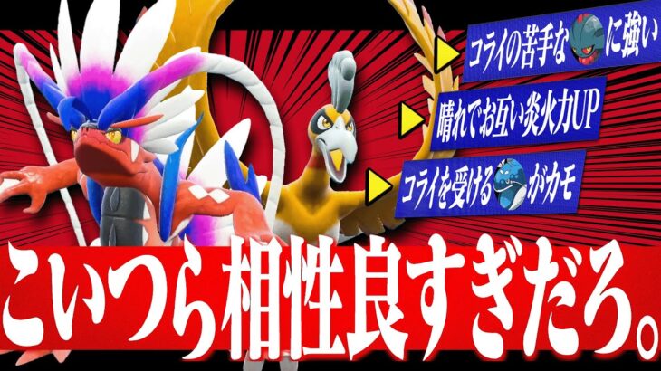 【弱点消滅】コライドンが”最高の相棒”を見つけました。【ポケモンSV】