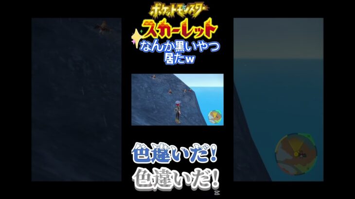 【ポケモンSV】うん？黒いぞ？ #ポケモン #ポケットモンスター #ポケモンsv #ポケモンSV#スカーレット#バイオレット#実況