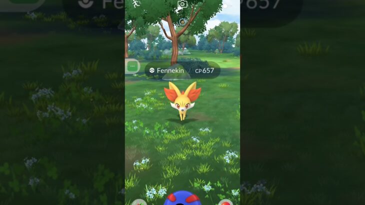 See how I Catch a Fennekin in Pokemon go #pokemon #pokemongo