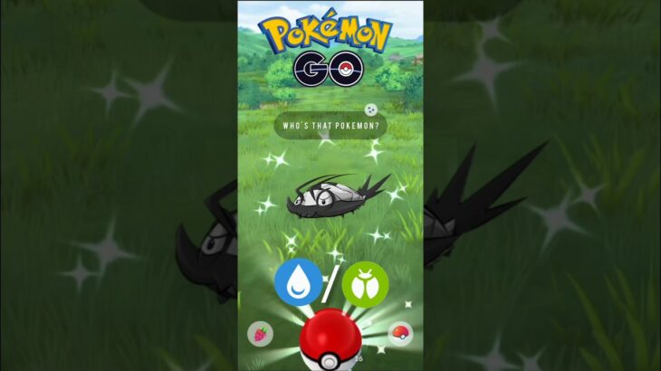 Shiny Bug/Water Pokemon caught pokemongo #ポケモンgo #pokemon #pokemongo #shinypokemon #pokemongame