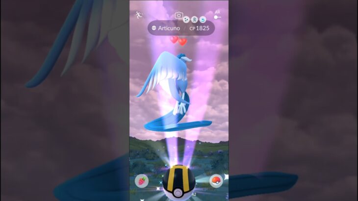 Shiny galarian Articuno caught pokemongo #ポケモンgo #pokemon #pokemongo #shinypokemon #galarianbirds