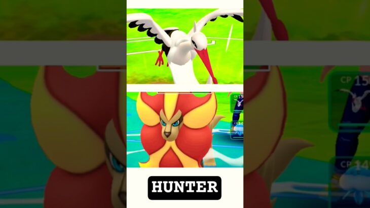Using Two Single Charge Attack Pokemon in Pokemon Go 🌈 @pokemongo #shorts #pokemon #pokemongo