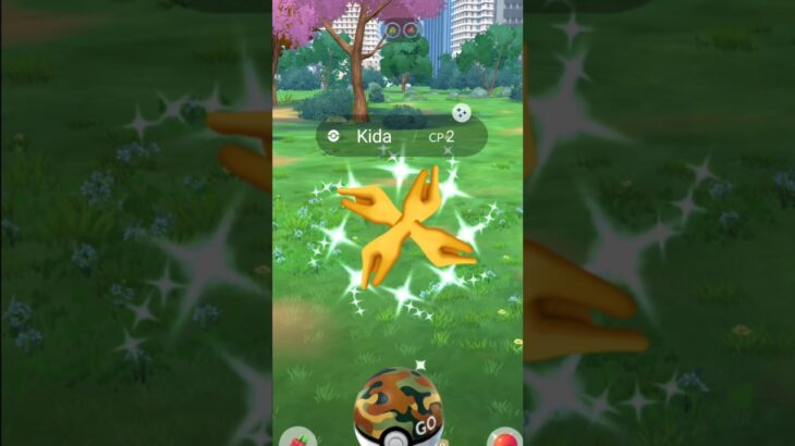 When I caught Shiny *Tidda* with Worst IVs….. 😳 Pokemon go