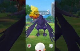 When I got Corviknight after long time….. 😳 Pokemon go