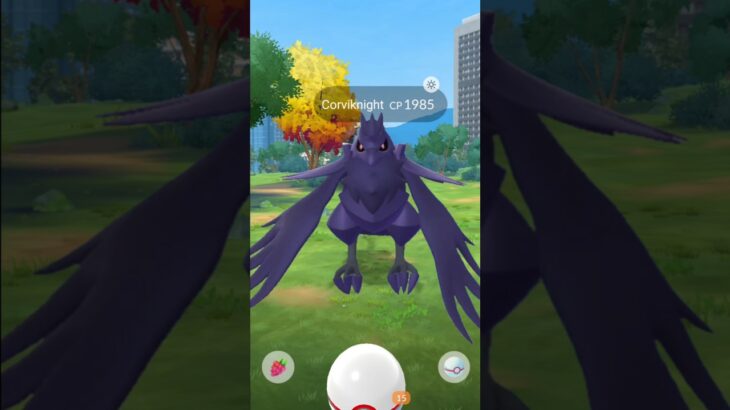 When I got Corviknight after long time….. 😳 Pokemon go