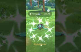 When Shiny rare Tirtouga makes my day….. 😳 Pokemon go