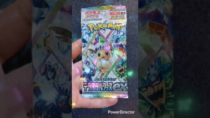 【テラスタルフェスex】開封します！#ポケカ #ポケカ開封  #ポケットモンスター #ポケモン #pokemon