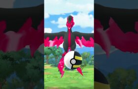 ガラルファイヤーがあらわれた！！#不老不死#ポケモンgo #ガラル三鳥