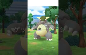 メガガルーラレイドデイ結果発表！#ポケモン #ポケモンgo #メガシンカ #レイド #色違い