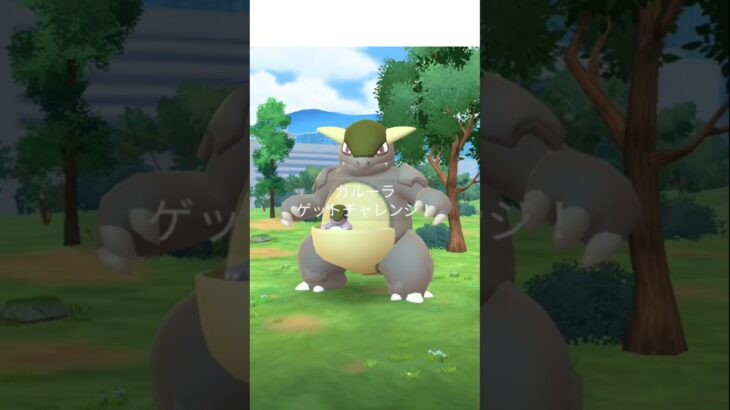 メガガルーラレイドデイ結果発表！#ポケモン #ポケモンgo #メガシンカ #レイド #色違い