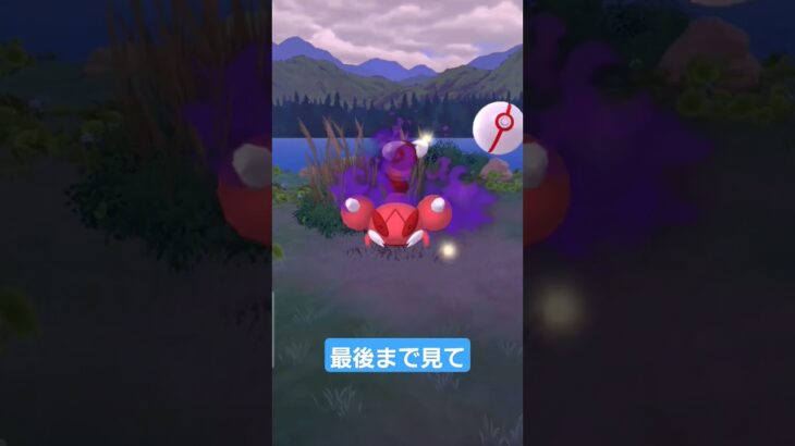 寝ます#ポケモンgo