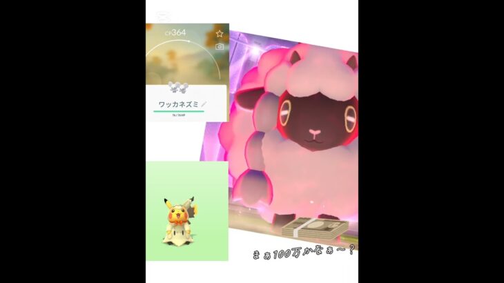 ピカチュウとウールーとワッカネズミの会話？#ポケモンgo
