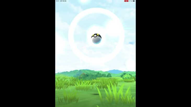 色違い　パモ　#色違いポケモンgo