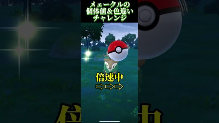 メェークルの個体値＆色違いチャレンジ！#ポケモンgo  使用させていただいたBGMは魔王魂様の〔battle 05〕です。