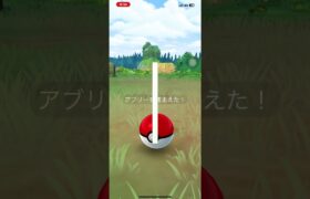 #ポケモンgo #ポケモンgo色違い #pokemongo #ポケモン
