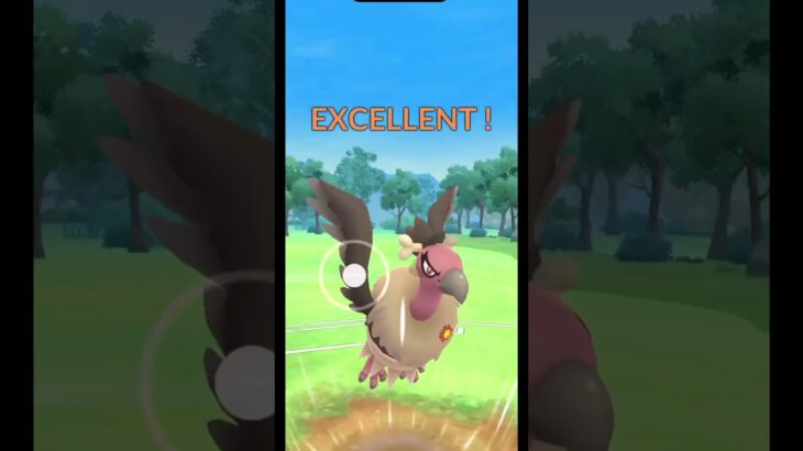 [ハイパーリーグ]ささり散らかすマッギョ先輩　#ポケモンgo #ポケモン #ポケモンgoバトルリーグ #pokemongo #pokemon
