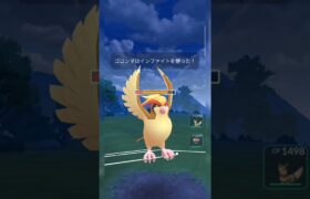 #ピジョット相手に強く出れるゴロンダヤバすぎ卍！#ポケモンgo #ポケモン #pokemongo