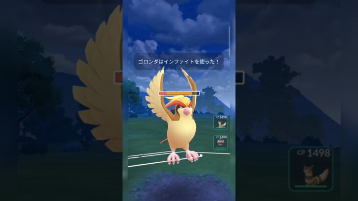 #ピジョット相手に強く出れるゴロンダヤバすぎ卍！#ポケモンgo #ポケモン #pokemongo