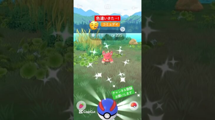 #ポケモンgo #ポケモン #pokemongo #pokemon #色違い #色違いポケモン #shinypokemon #shiny #コミュデイ #チャンネル登録お願いします #shorts