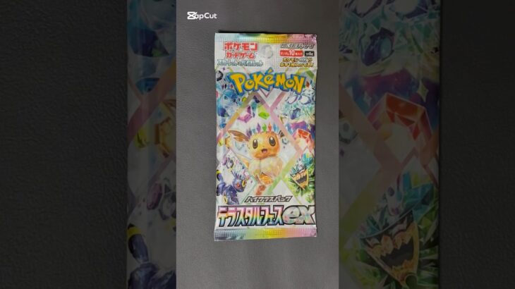 夢を追い求めてpart103#ポケモンカード#ポケカ#ポケモン#pokemoncards #pokemon #テラスタルフェス