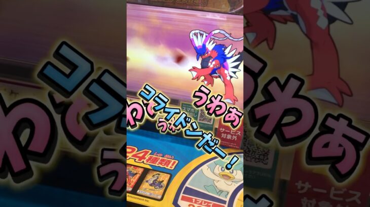 ポケモンのゲームに挑戦！ #ポケモン #pikachu #ピカチュウ #ゲームセンター #コライドン