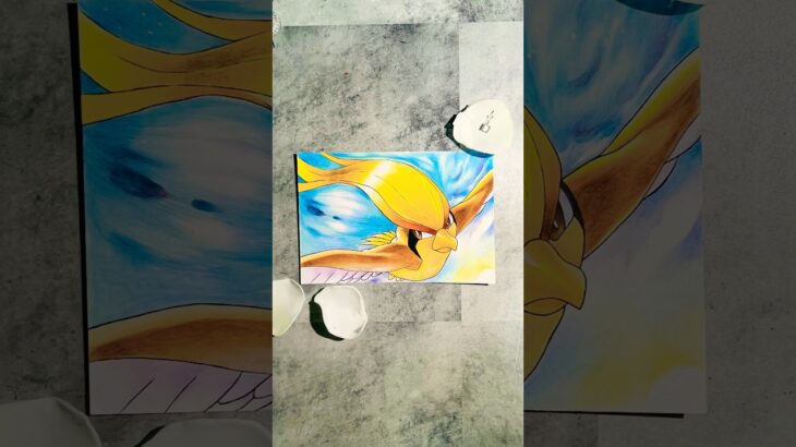 ポケモン図鑑を色違いで１から描いてみる。ピジョット　#ポケモン #イラスト #pokemon #drawing #色違い